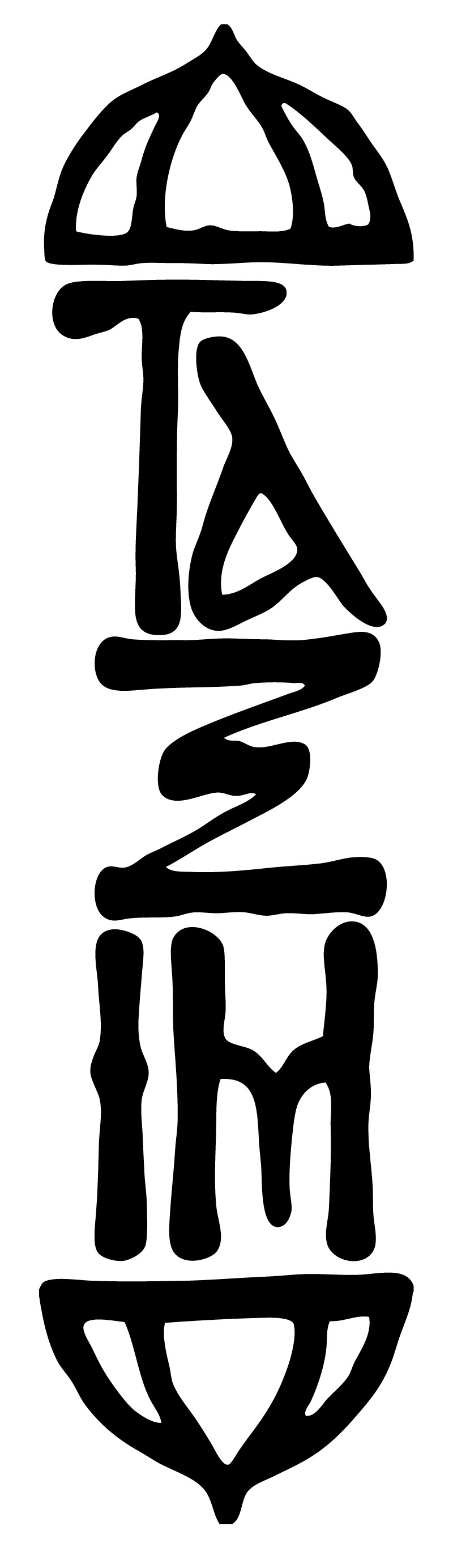 TAXIM logo